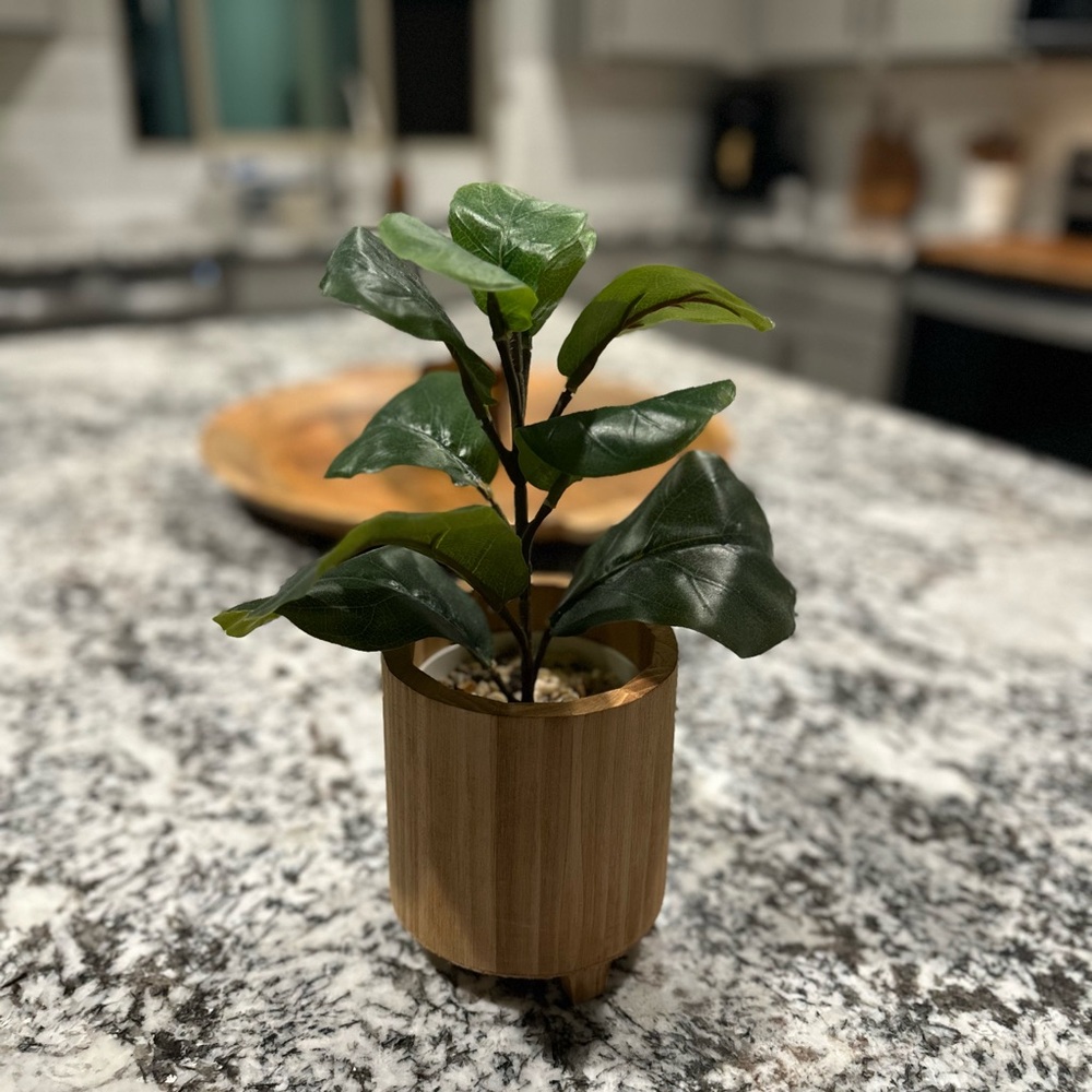 Michaels Green Faux Plant in Wooden Pot